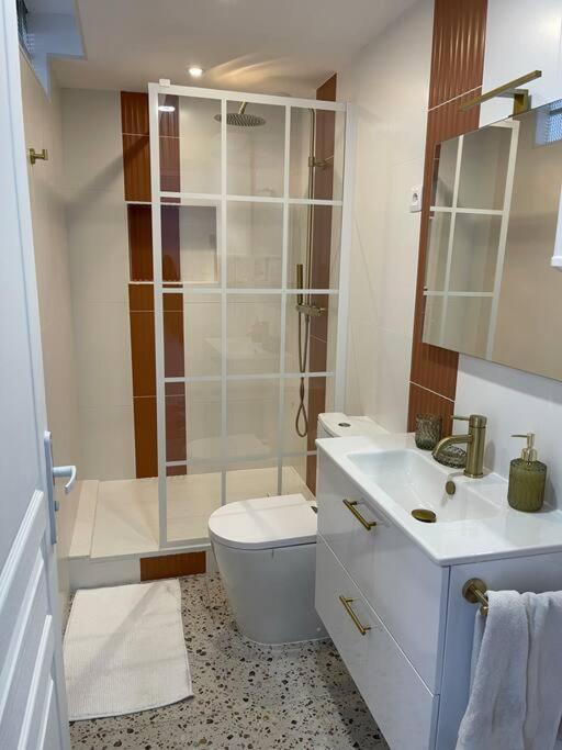 Nid Douillet Proche Capitole Apartment ตูลูส ภายนอก รูปภาพ