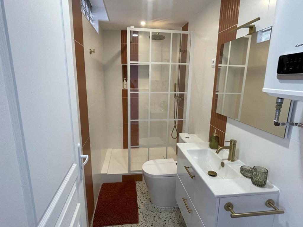 Nid Douillet Proche Capitole Apartment ตูลูส ภายนอก รูปภาพ